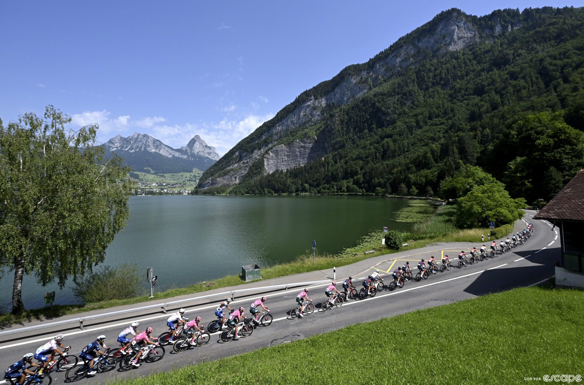 etappensieger tour de suisse 2023