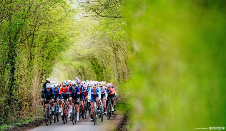 A peloton of cyclists rides through a tunnel of trees covered in bright green leaves.